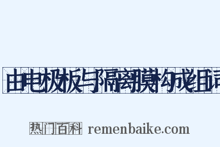 由电极板与隔离膜构成组词是什么意思的图片